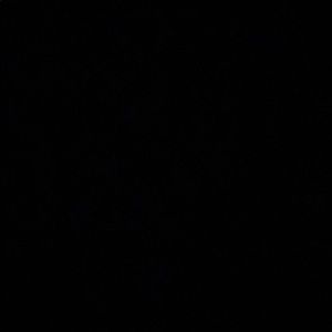 Meet your Posher, Abbey